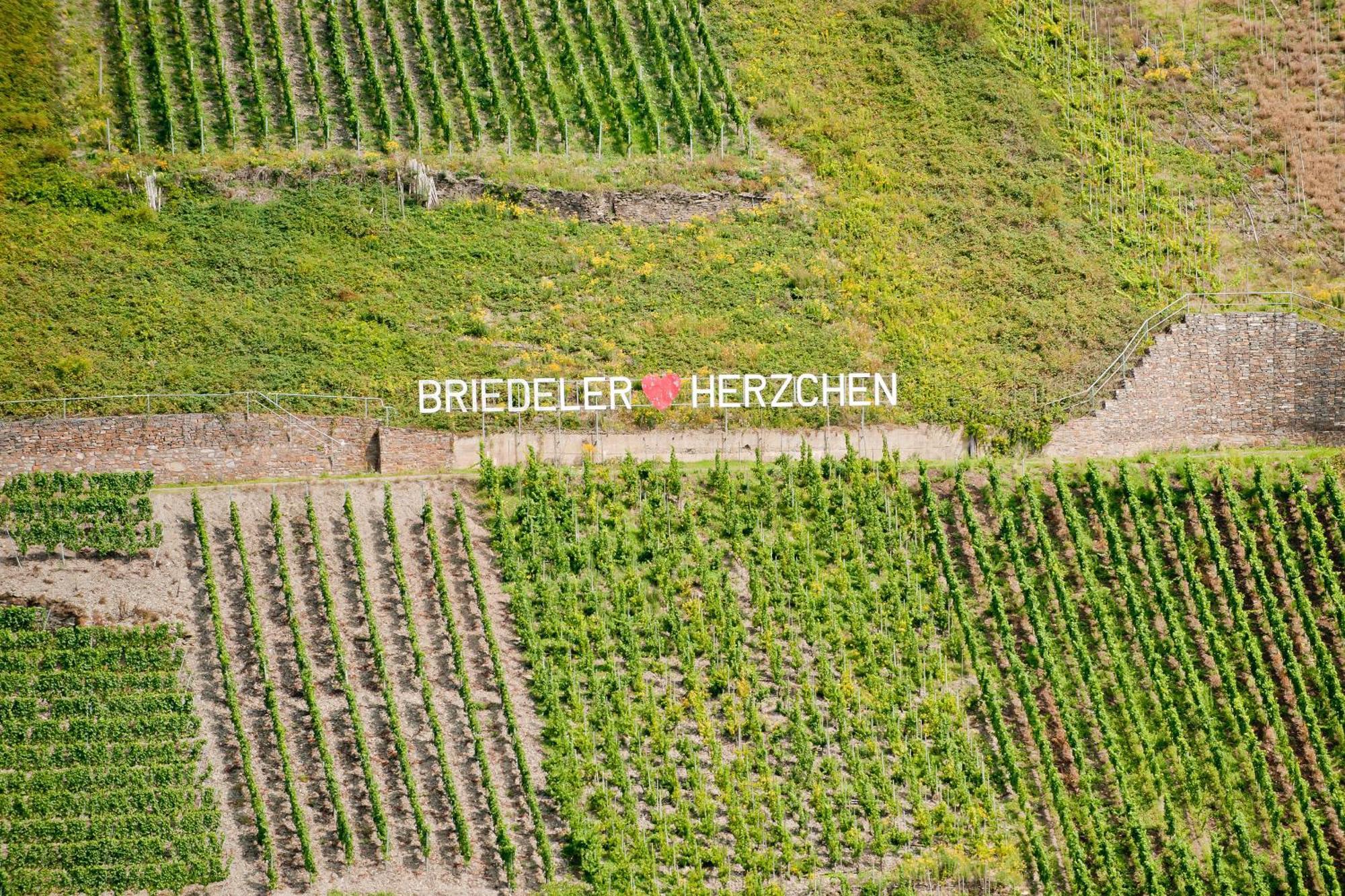 Wein- Und Sektgut Markus Hensler Briedel Exterior foto